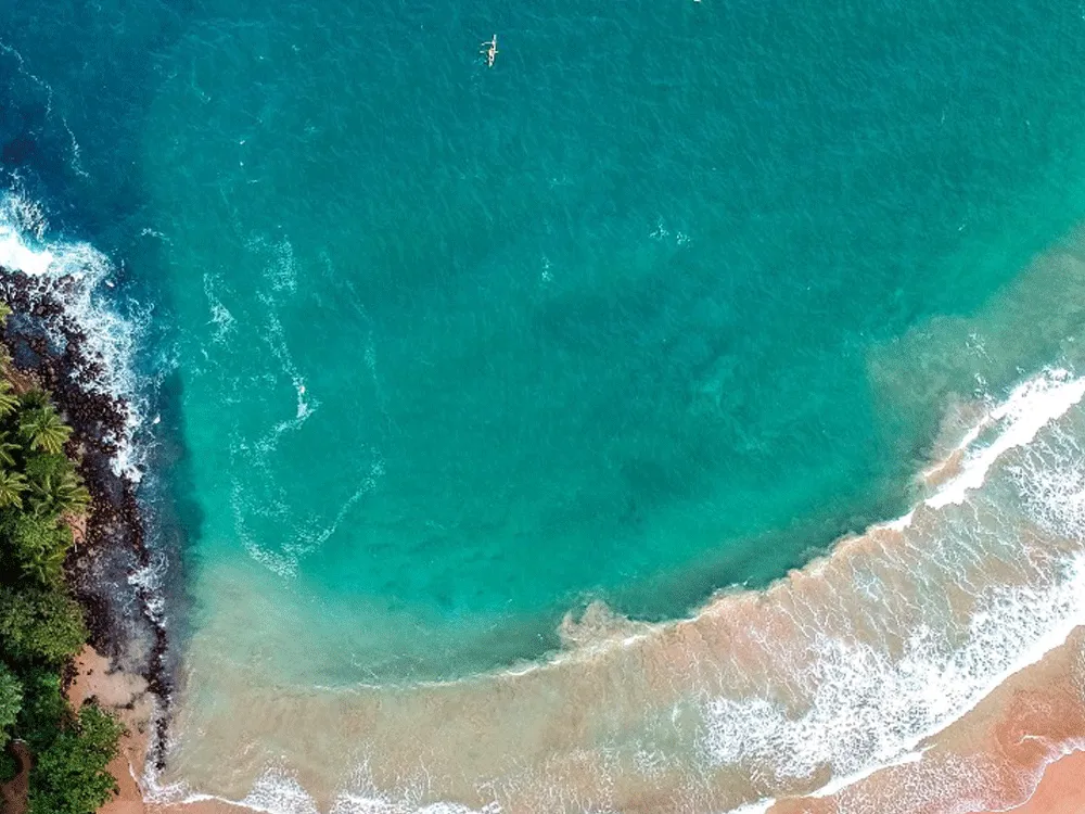 Sustanable Materials